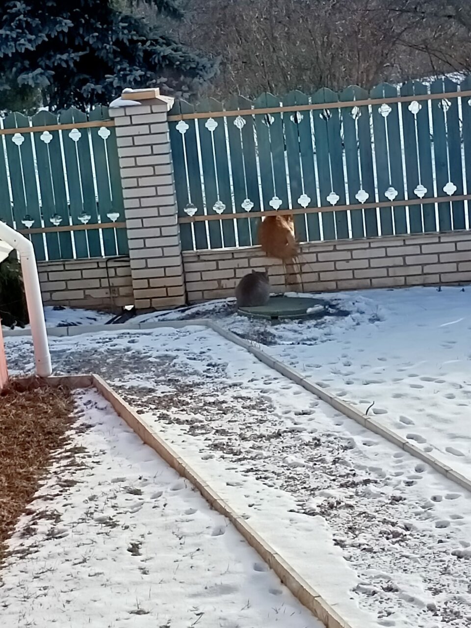 Гостиница Витальница Суздаль-101