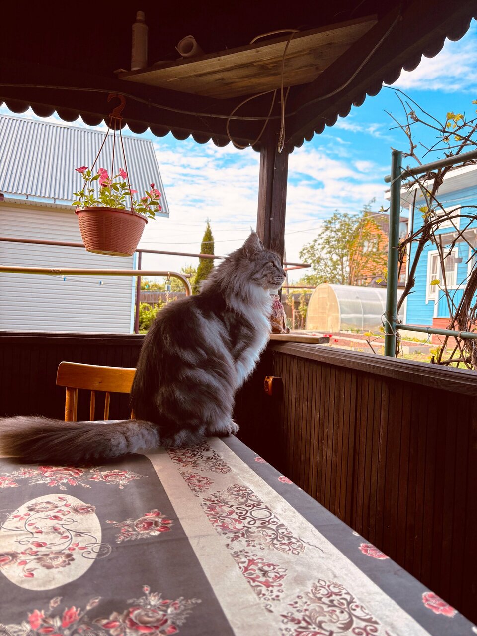 Гостиница Витальница Суздаль-26