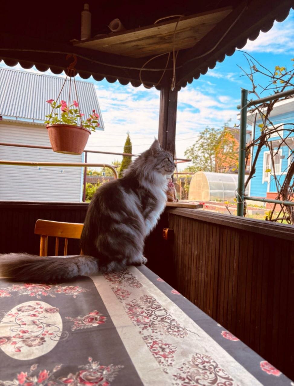 Гостиница Витальница Суздаль-59