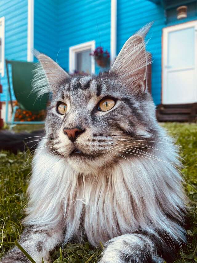 Гостиница Витальница Суздаль-8